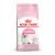 Royal Canin Kitten cats dry food 2 kg