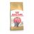 Royal Canin British Shorthair Kitten cats dry food 400 g Adult Poultry