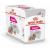 Royal Canin CCN Exigent Loaf wet food for dogs -12x85g