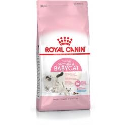Royal Canin Mother - Babycat cats dry food 400 g Adult Poultry