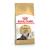Royal Canin Persian cats dry food 4 kg Adult Maize - Poultry