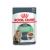 Royal Canin Digest Sensitive Care -Wet food for cats-12x85g
