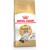 Royal Canin Ragdoll Adult cats dry food 400 g Poultry