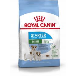 Royal Canin Mini Starter Mother - Babydog Adult Poultry 1 kg