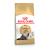Royal Canin Persian Adult cats dry food 10 kg Poultry - Rice - Vegetable