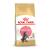 Royal Canin Maine Coon Kitten cats dry food 10 kg