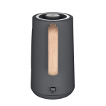ELECTRIC KETTLE RK3370 CONCEPT