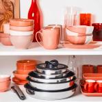 TEFAL Ingenio Emotion 11-piece cookware set L897SB74