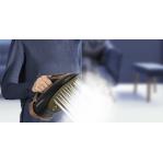 Tefal Ultimate Power Pro FV9E50 Dry & Steam iron Durilium AirGlide Autoclean soleplate 3200 W Black, Copper