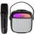 Adler AD 1199 black Karaoke speaker with microphone - SD/USB/AUX/Bluetooth