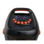 Esperanza EP156 BT FM LED RGB KARAOKE Speaker Black 20W