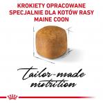 ROYAL CANIN Maine coon FBN Kitten - dry cat food - 400g