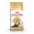 ROYAL CANIN Persian Adult - dry cat food - 400g
