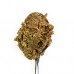 3COTY Chicken with spirulina - wet cat food - 80g