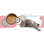 3COTY Turkey Senior - wet cat food - 80g