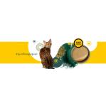 3COTY Chicken with spirulina Senior - wet cat food - 80g