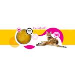 3COTY Chicken Cheers! - wet cat food - 75g