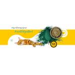 3COTY 02. Chicken - wet cat food - 180g