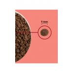 ACANA Highest Protein Indoor Cat - dry cat food - 4,5kg