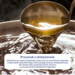 INABA CAT Dashi Delights Silky Broth Chicken with Cheese - treat for cats - 40g