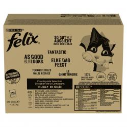 PURINA Felix Countryside Selection - wet cat food - 120x85g