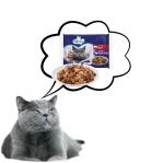 PREVITAL Beef and rabbit with turkey in jelly – wet cat food – 4 x 100g