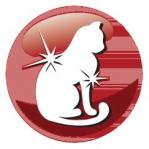 PREVITAL Cat Food Adult with Beef - Dry Cat Food - 1.4 kg