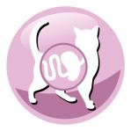 PREVITAL Senior Salmon - dry cat food - 1,4kg