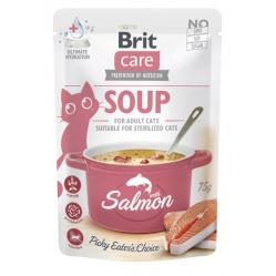 BRIT Care Soup Salmon - soup for cat - 75g