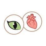 SHELMA Rich in beef in sauce - wet cat food - 85g