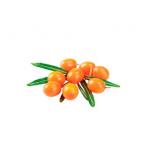 SHELMA Rich in turkey in sauce - wet cat food - 85g