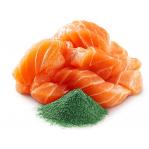 SHELMA with salmon in sauce - wet cat food - 85g