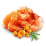 SHELMA Kitten with salmon in sauce - wet cat food - 85g