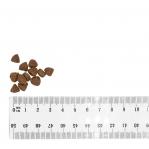 BULT Duck and Turkey Puppy - dry dog food - 3kg