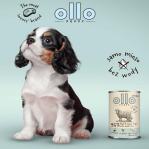 OLLO Puppy Umami Beef and Green Tripe with Duck Liver - wet dog food - 400g