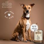 OLLO Pure Deer – wet dog food – 850 g