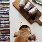 OLLO Umami Lamb and beef - wet dog food - 850g