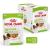 ROYAL CANIN Adult xs-small - wet dog food - 12 x 85g