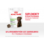 ROYAL CANIN Supplements Dog Digestion Adult - dog vitamins - 160g