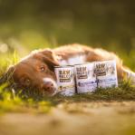 RAW PALEO Adult Monoprotein Turkey - wet dog food - 400 g