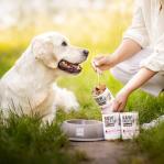 RAW PALEO Adult Monoprotein Pork - wet dog food - 400 g