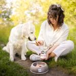 RAW PALEO Adult Monoprotein Pork - wet dog food - 400 g