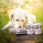 RAW PALEO Adult Monoprotein Pork - wet dog food - 400 g