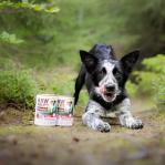 RAW PALEO Puppy Monoprotein Beef - wet food for puppies - 400 g