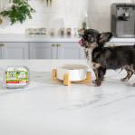 RAW PALEO Pate Mini Puppy Beef - wet food for puppies - 150 g