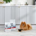 RAW PALEO Ultra Mini Adult Beef - dry dog ​​food - 2 kg