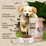 Raw Paleo Healthy Grain Puppy Salmon and barley - dry dog ​​food - 10 kg