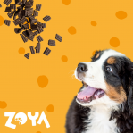 ZOYA ColdPRO Lamb - dry dog food - 3kg