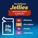 Felix Sensations country flavors in jelly 24 x 85 g