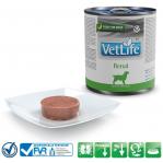 FARMINA Vet Life Canine Renal - wet dog food - 300 g
